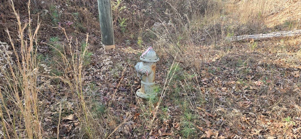 00001 Hwy 369, Ball Ground GA 30107 - Photo