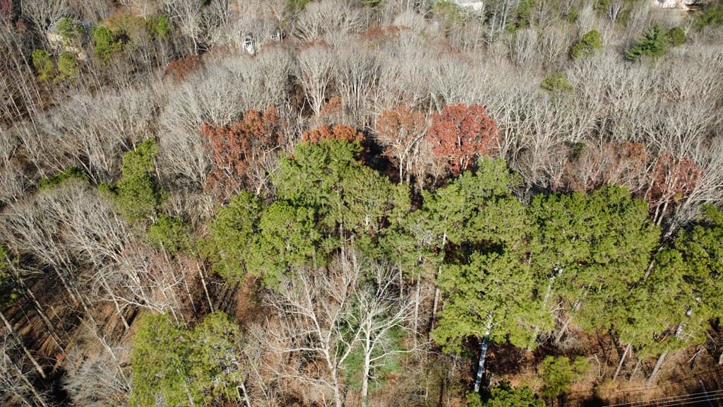 00001 Hwy 369, Ball Ground GA 30107 - Photo
