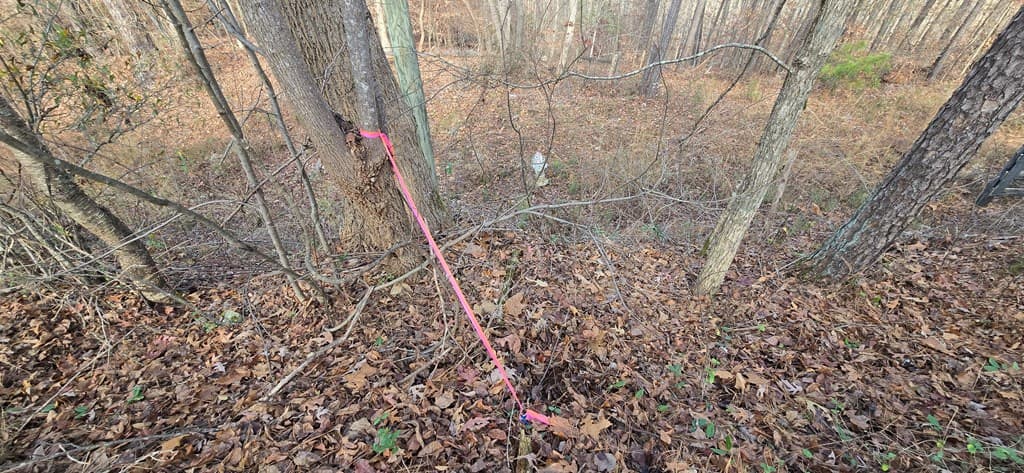 00001 Hwy 369, Ball Ground GA 30107 - Photo