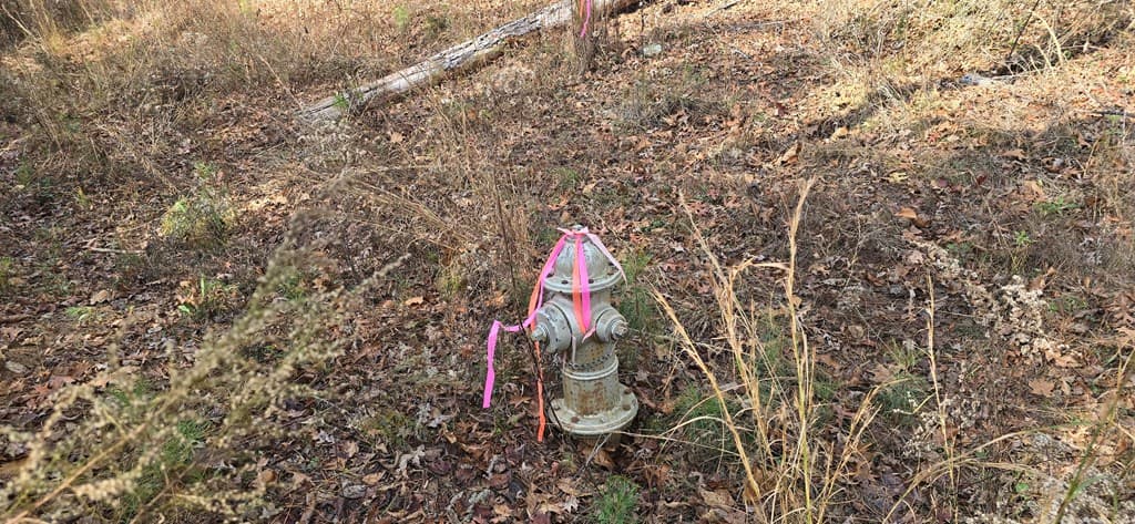 00001 Hwy 369, Ball Ground GA 30107 - Photo