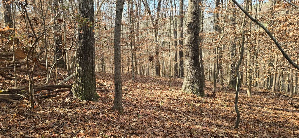 00001 Hwy 369, Ball Ground GA 30107 - Photo