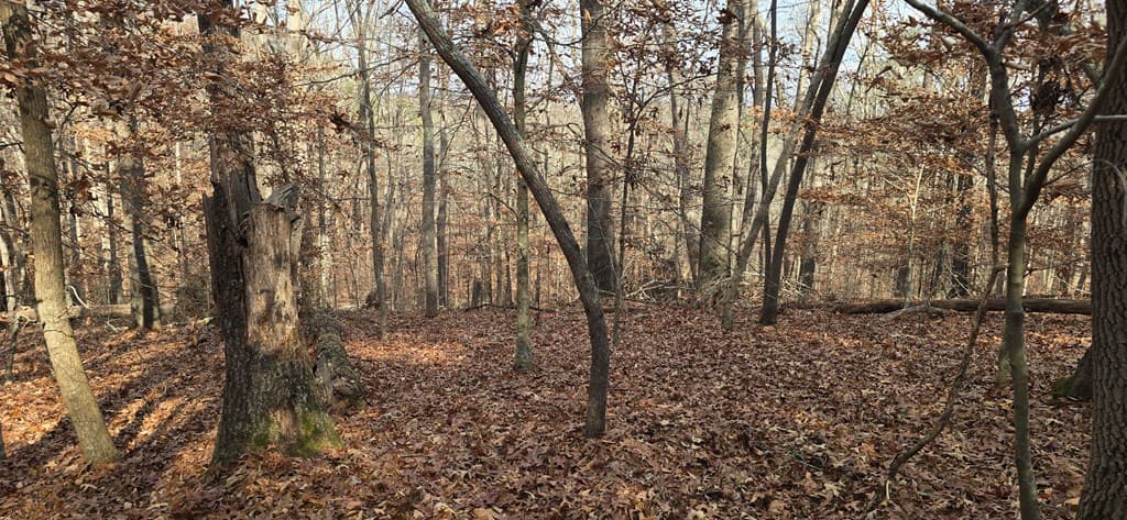 00001 Hwy 369, Ball Ground GA 30107 - Photo