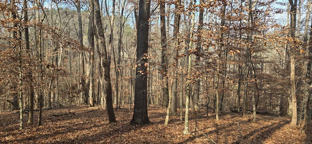 00001 Hwy 369, Ball Ground GA 30107 - Photo