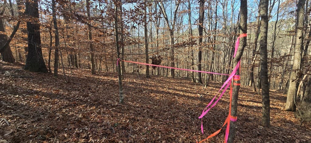 00001 Hwy 369, Ball Ground GA 30107 - Photo