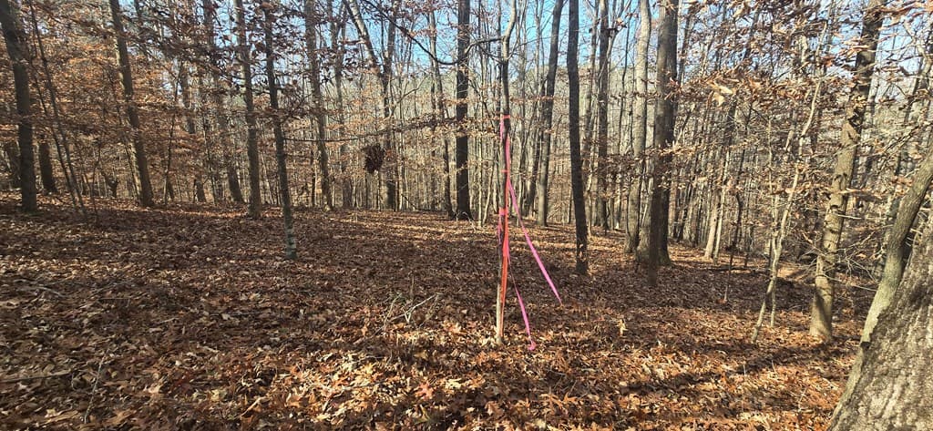 00001 Hwy 369, Ball Ground GA 30107 - Photo
