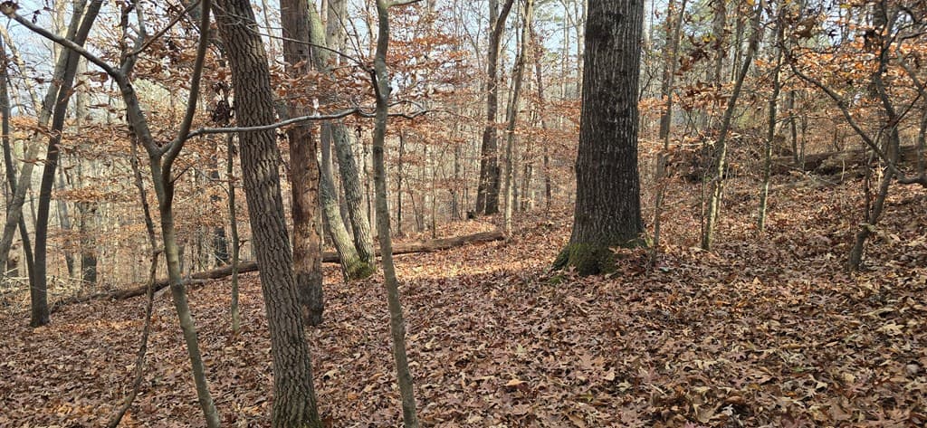 00001 Hwy 369, Ball Ground GA 30107 - Photo