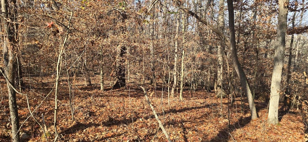 00001 Hwy 369, Ball Ground GA 30107 - Photo