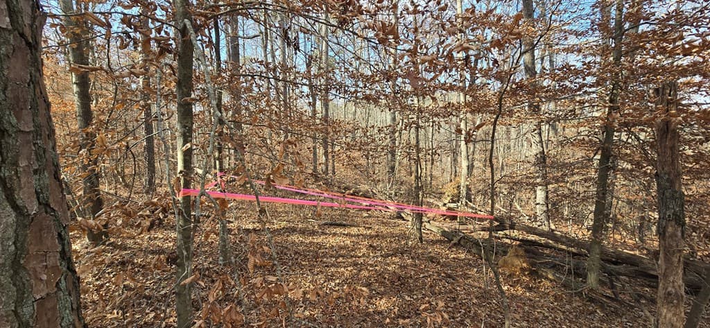 00001 Hwy 369, Ball Ground GA 30107 - Photo