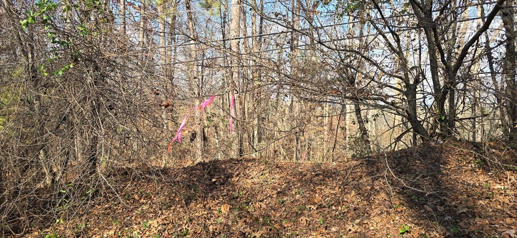 00001 Hwy 369, Ball Ground GA 30107 - Photo
