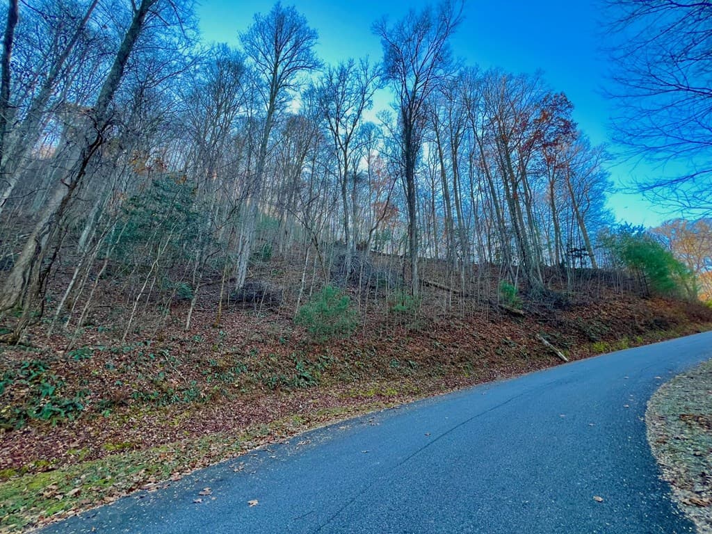 22 Walker Ridge, Mineral Bluff GA 30559 - Photo