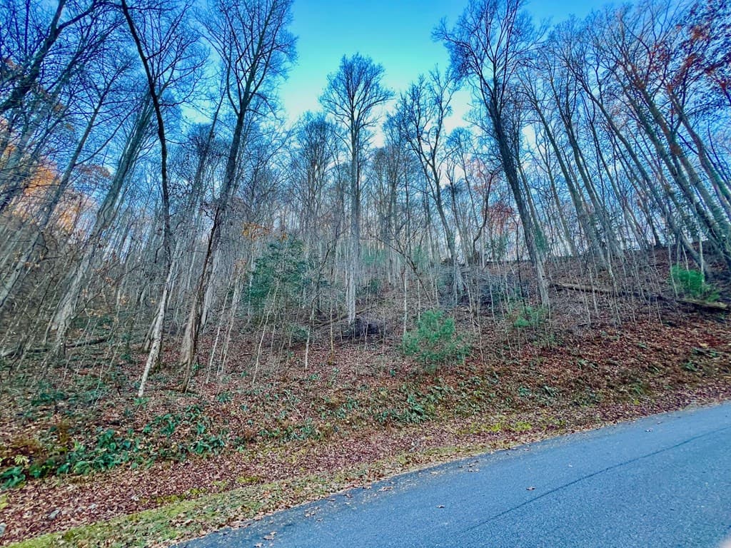 22 Walker Ridge, Mineral Bluff GA 30559 - Photo