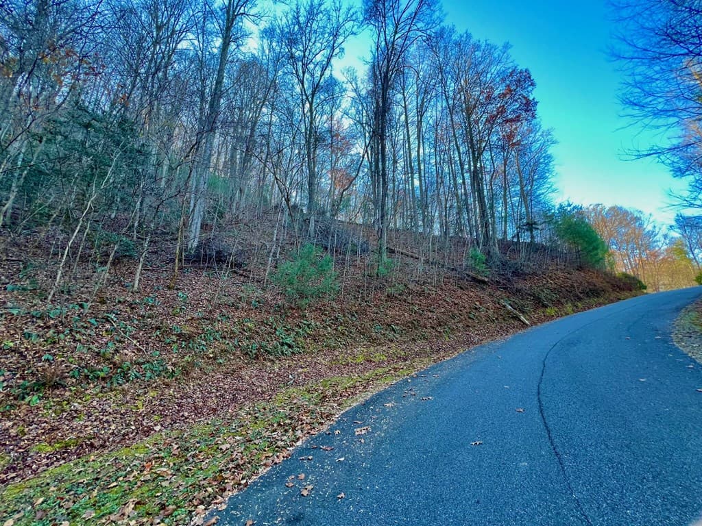 22 Walker Ridge, Mineral Bluff GA 30559 - Photo