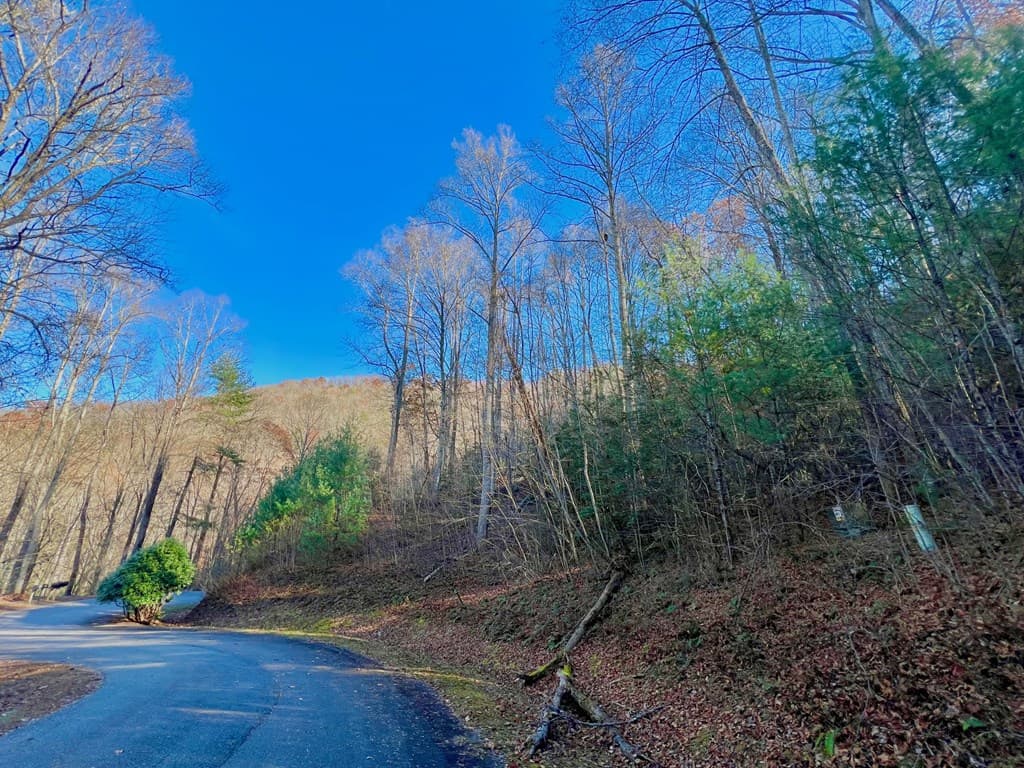 22 Walker Ridge, Mineral Bluff GA 30559 - Photo