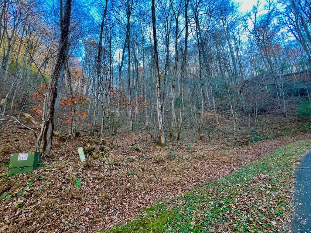 22 Walker Ridge, Mineral Bluff GA 30559 - Photo