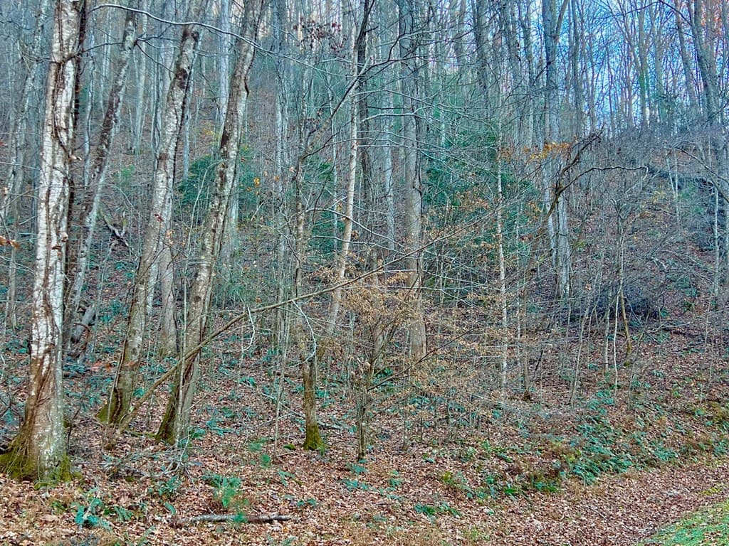 22 Walker Ridge, Mineral Bluff GA 30559 - Photo