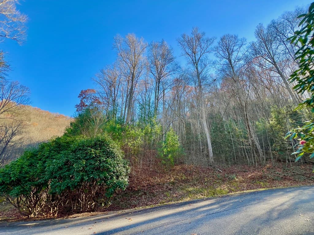 22 Walker Ridge, Mineral Bluff GA 30559 - Photo