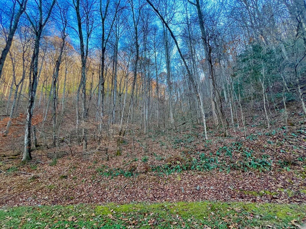 22 Walker Ridge, Mineral Bluff GA 30559 - Photo