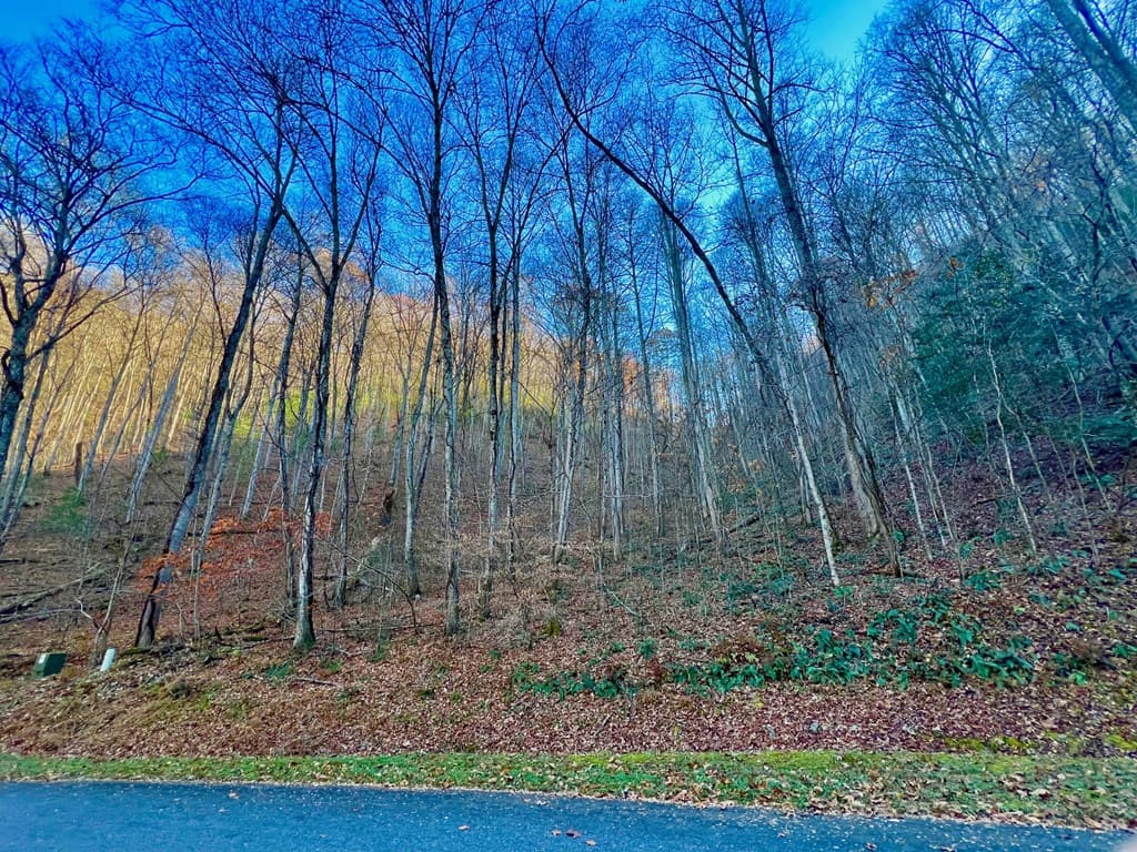 22 Walker Ridge, Mineral Bluff GA 30559 - Photo
