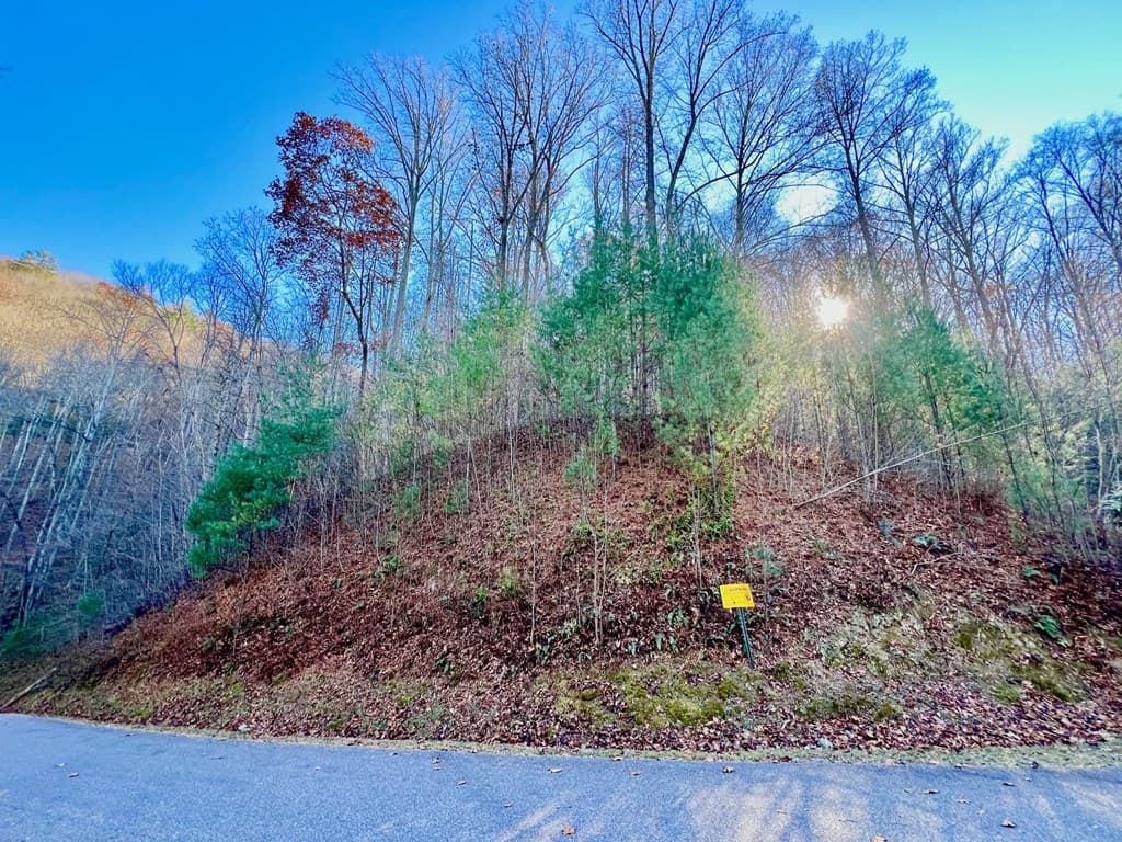 22 Walker Ridge, Mineral Bluff GA 30559 - Photo