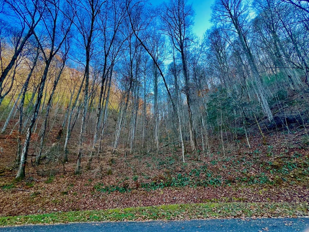 22 Walker Ridge, Mineral Bluff GA 30559 - Photo