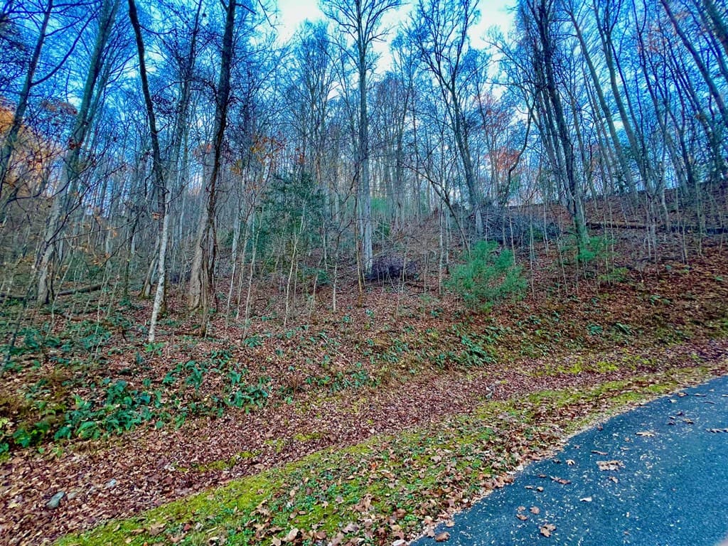 22 Walker Ridge, Mineral Bluff GA 30559 - Photo