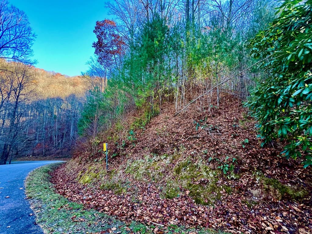 22 Walker Ridge, Mineral Bluff GA 30559 - Photo