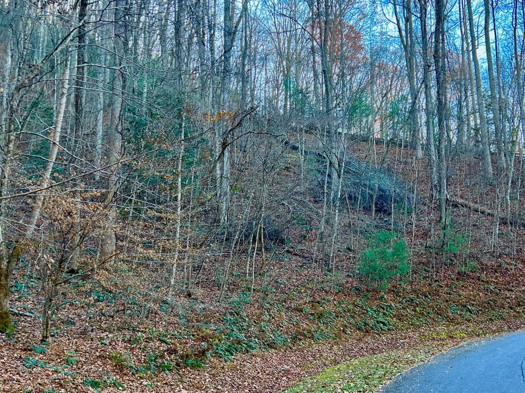 22 Walker Ridge, Mineral Bluff GA 30559 - Photo