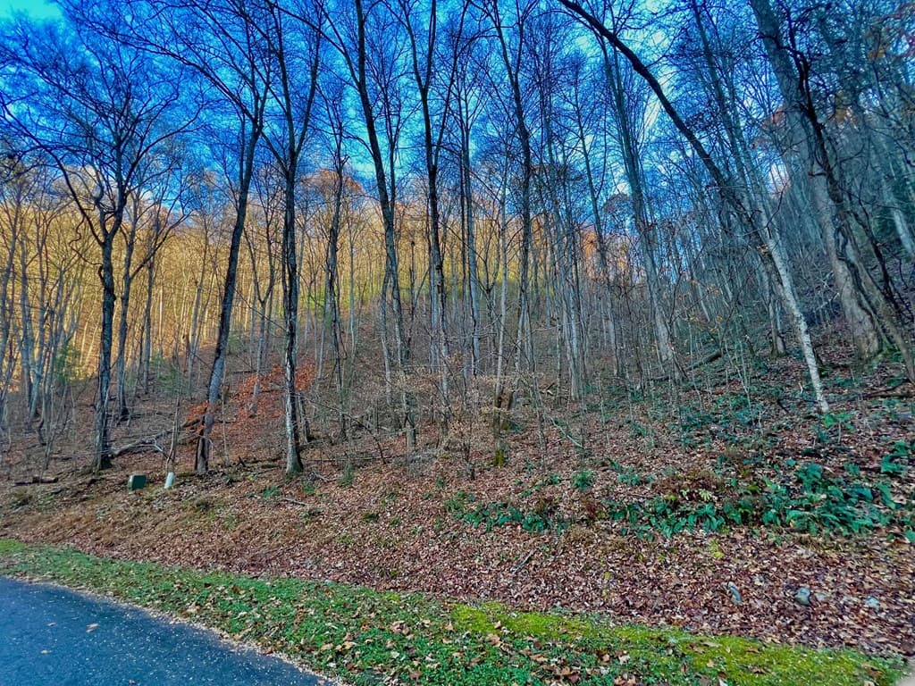 22 Walker Ridge, Mineral Bluff GA 30559 - Photo