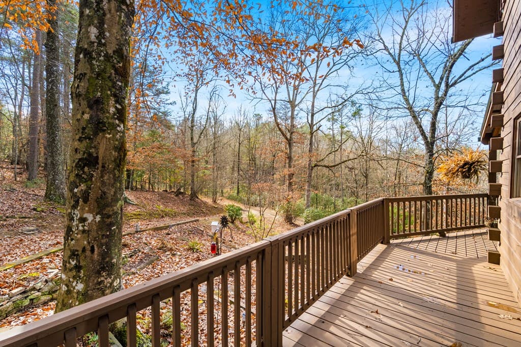 488 Smith Road, Brasstown NC 28902 - Photo