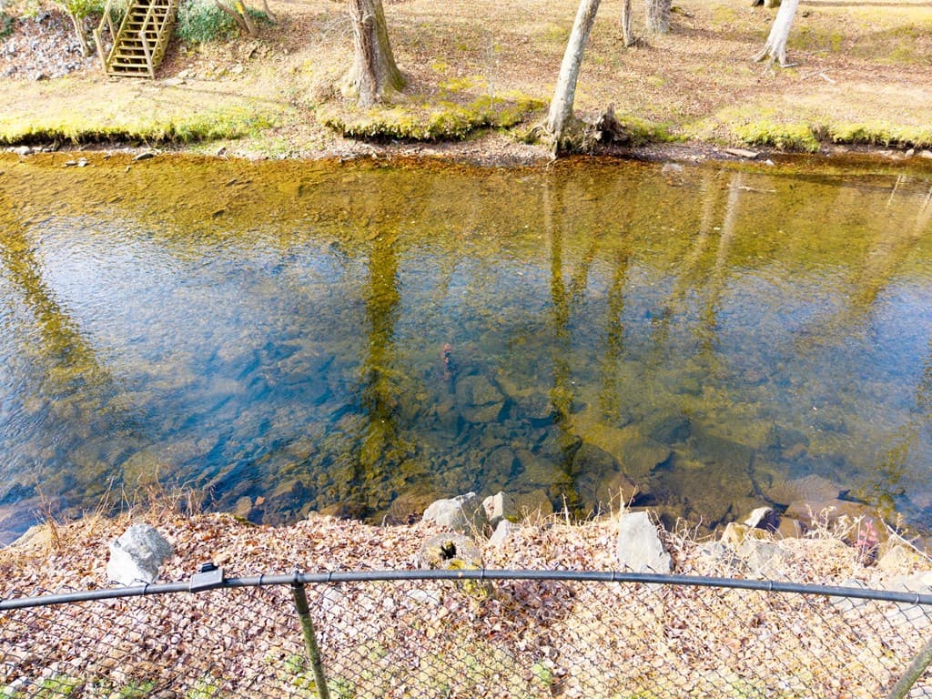 4117 Riverbank Run, Hiawassee GA 30546 - Photo