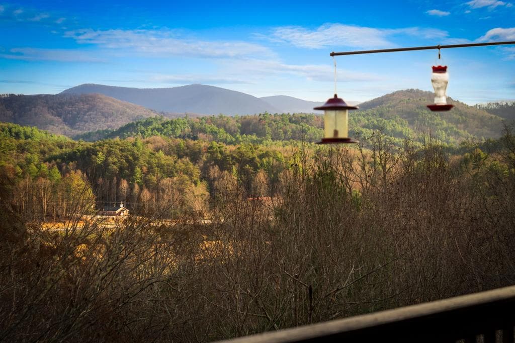 297 Tall Timber Mountain Road, Blue Ridge GA 30513 - Photo