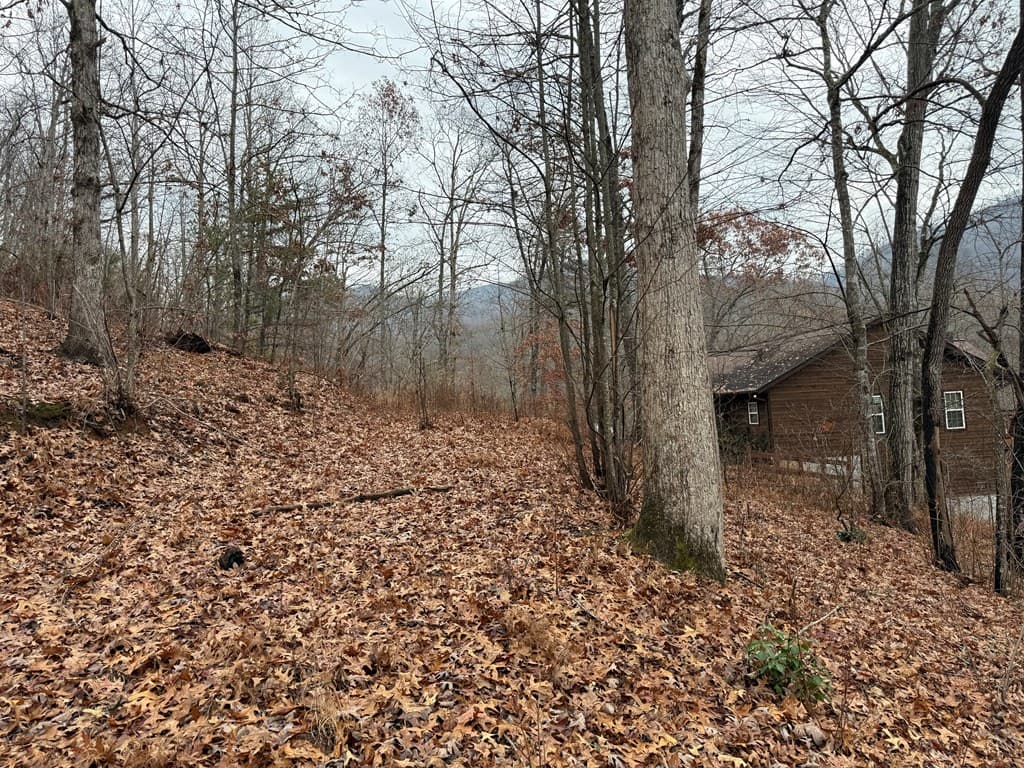 101 Flaming Ridge, Hayesville NC 28904 - Photo