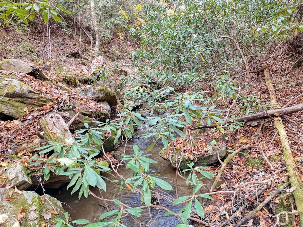 135.49ac Webb Creek Road, Andrews NC 28901 - Photo
