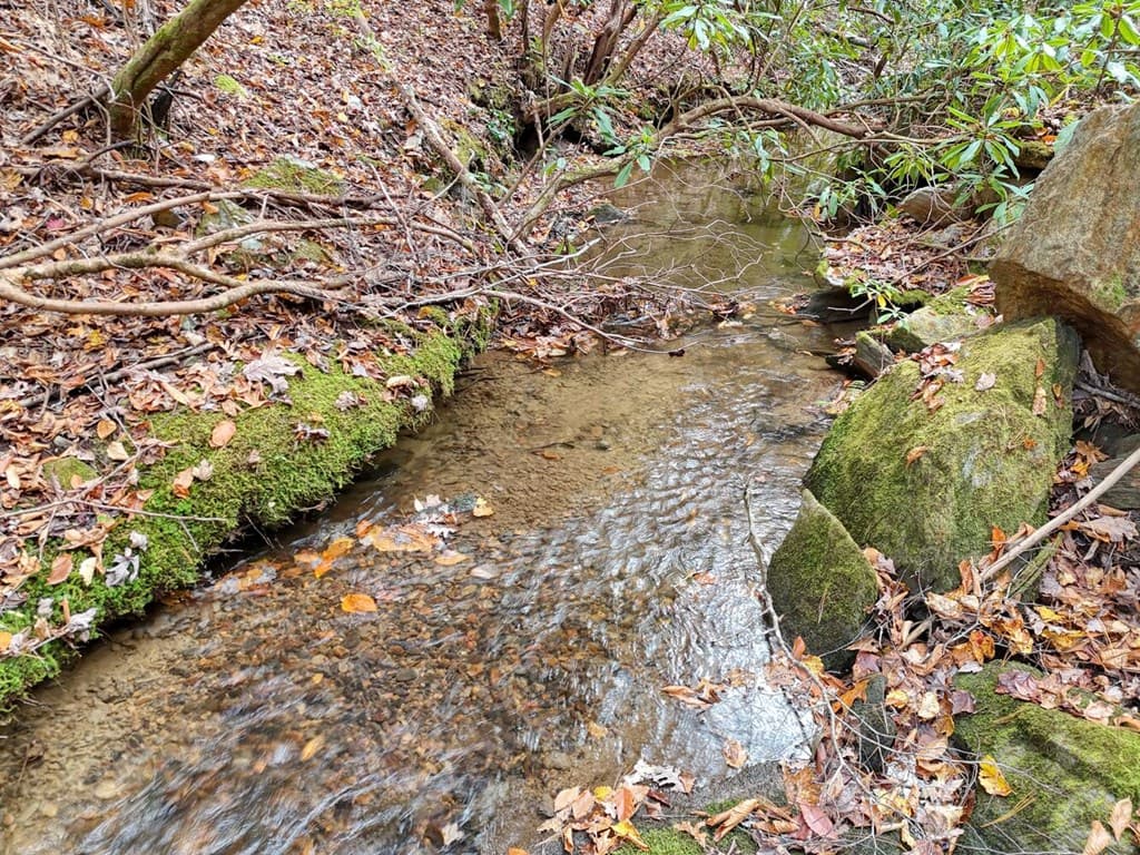 135.49ac Webb Creek Road, Andrews NC 28901 - Photo