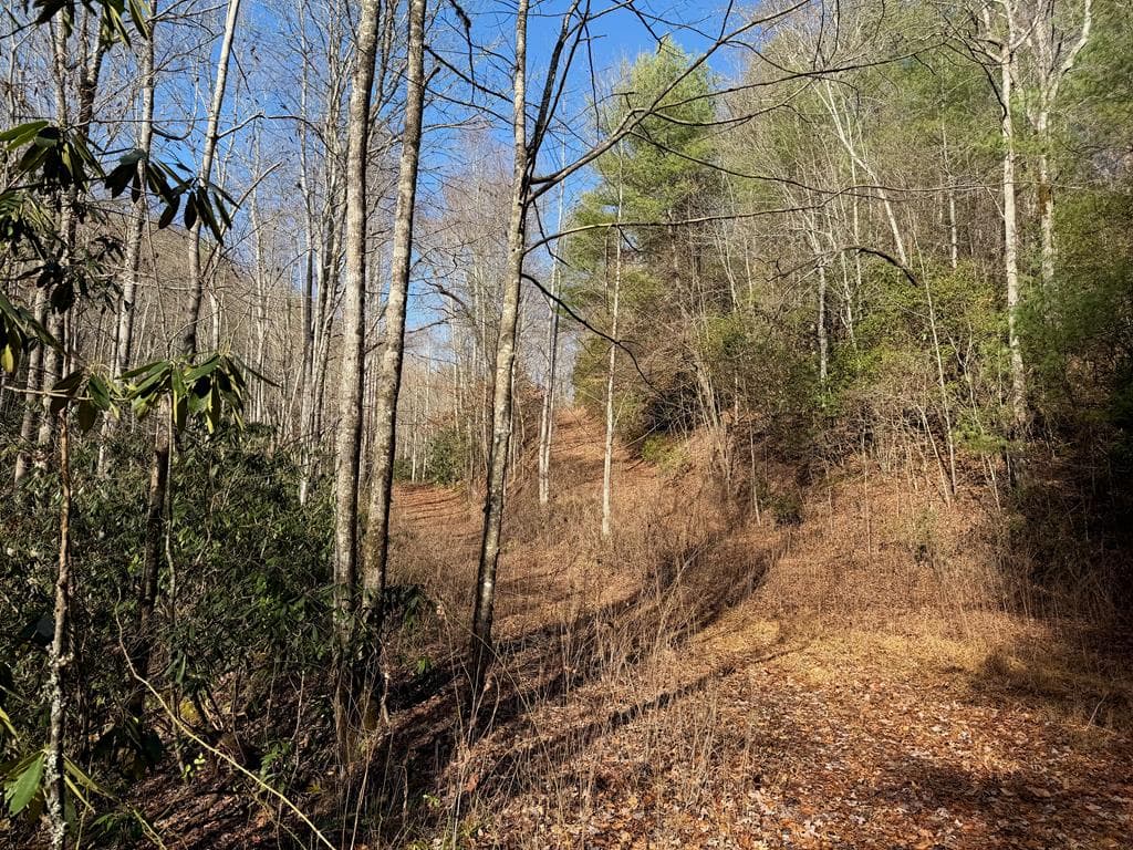 135.49ac Webb Creek Road, Andrews NC 28901 - Photo