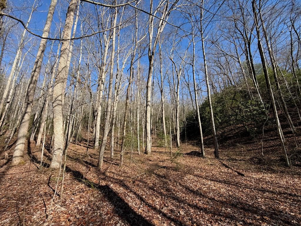 135.49ac Webb Creek Road, Andrews NC 28901 - Photo