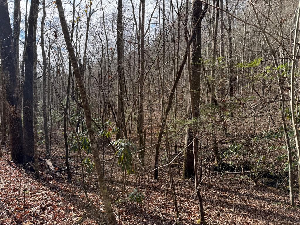135.49ac Webb Creek Road, Andrews NC 28901 - Photo