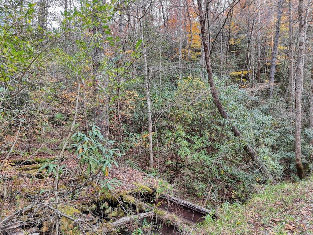 135.49ac Webb Creek Road, Andrews NC 28901 - Photo
