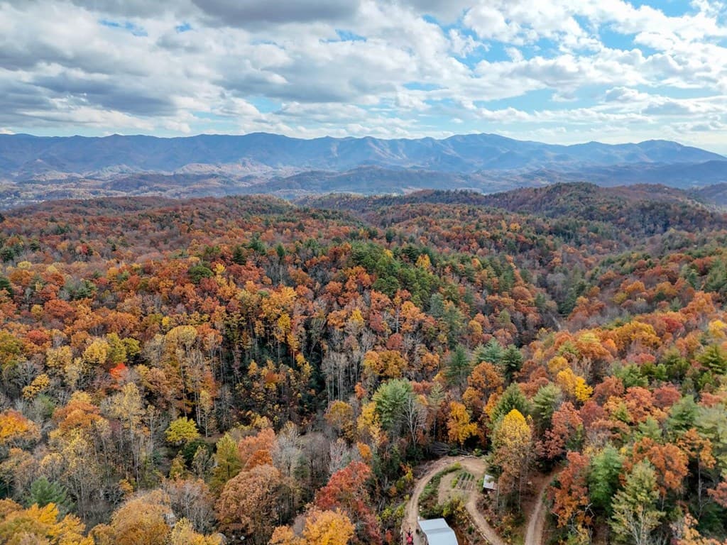 135.49ac Webb Creek Road, Andrews NC 28901 - Photo