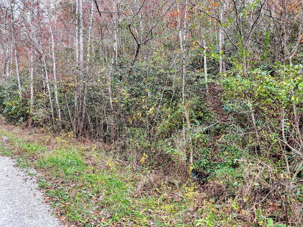 135.49ac Webb Creek Road, Andrews NC 28901 - Photo