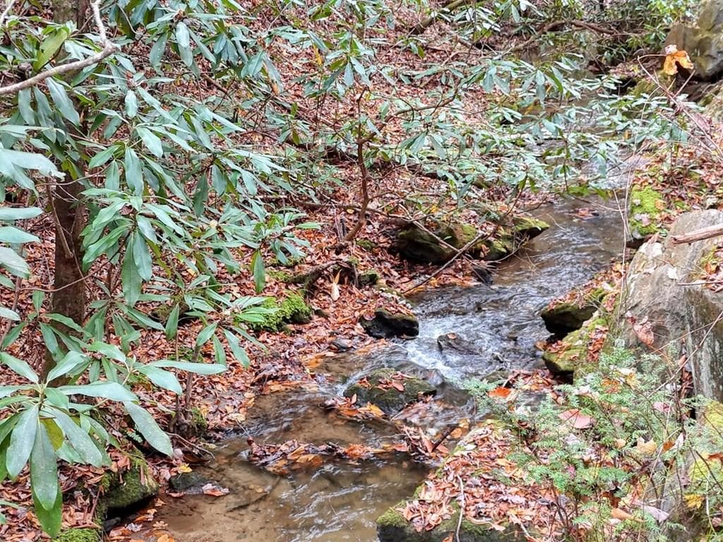 135.49ac Webb Creek Road, Andrews NC 28901 - Primary photo