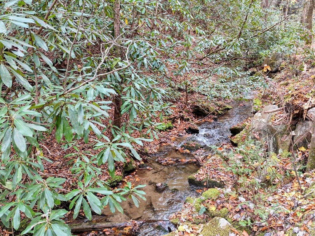 135.49ac Webb Creek Road, Andrews NC 28901 - Photo