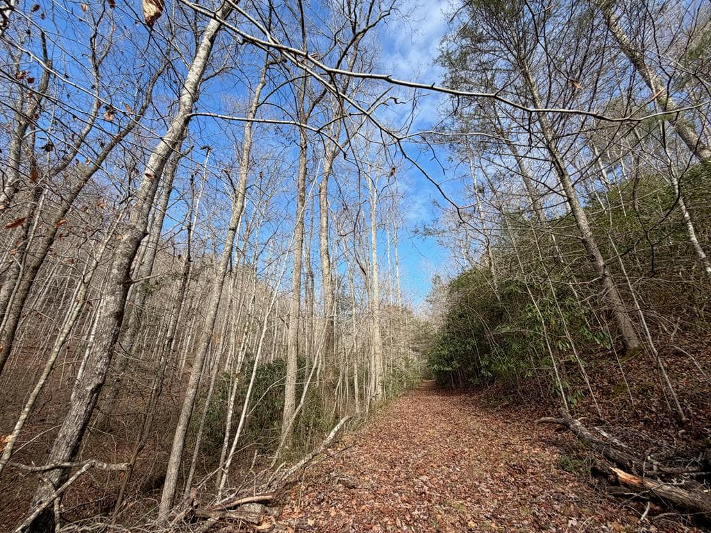 135.49ac Webb Creek Road, Andrews NC 28901 - Photo
