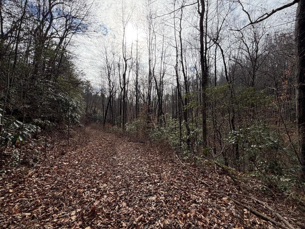 135.49ac Webb Creek Road, Andrews NC 28901 - Photo
