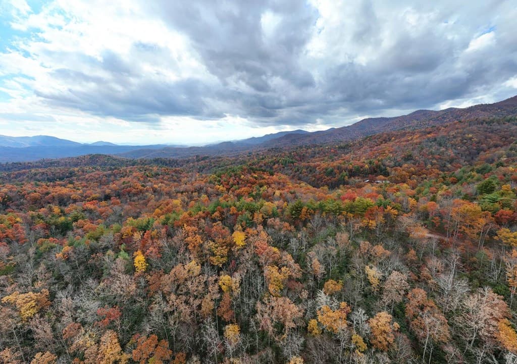 135.49ac Webb Creek Road, Andrews NC 28901 - Photo