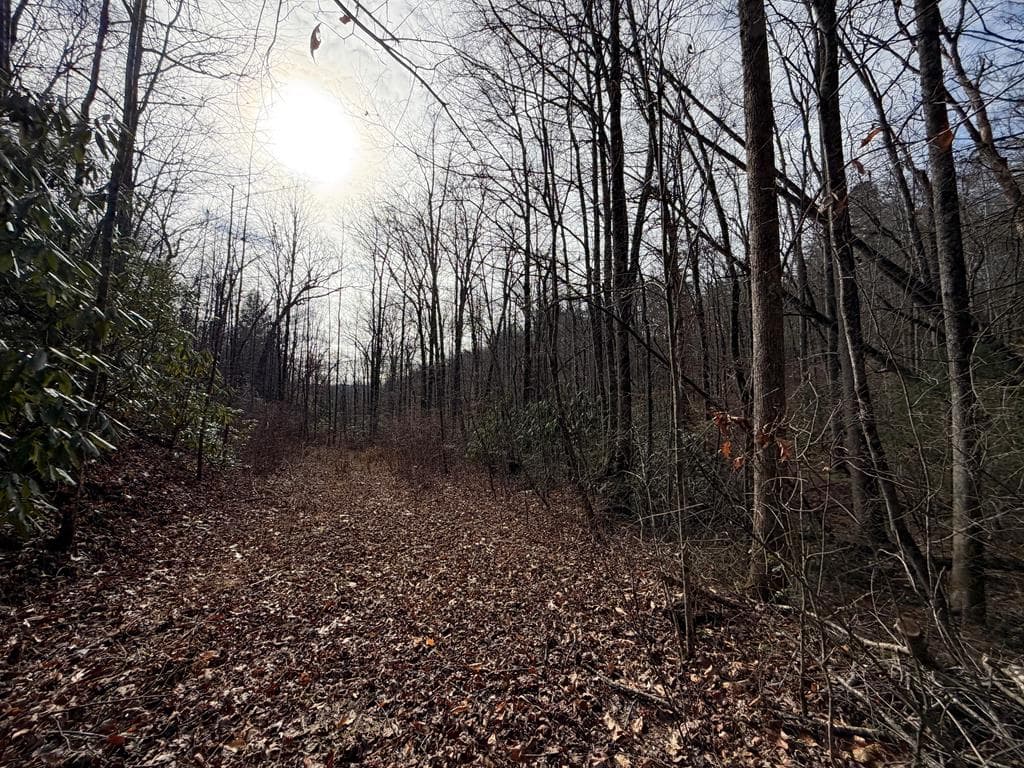 135.49ac Webb Creek Road, Andrews NC 28901 - Photo