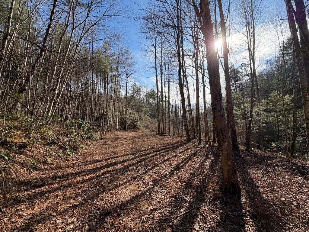 135.49ac Webb Creek Road, Andrews NC 28901 - Photo