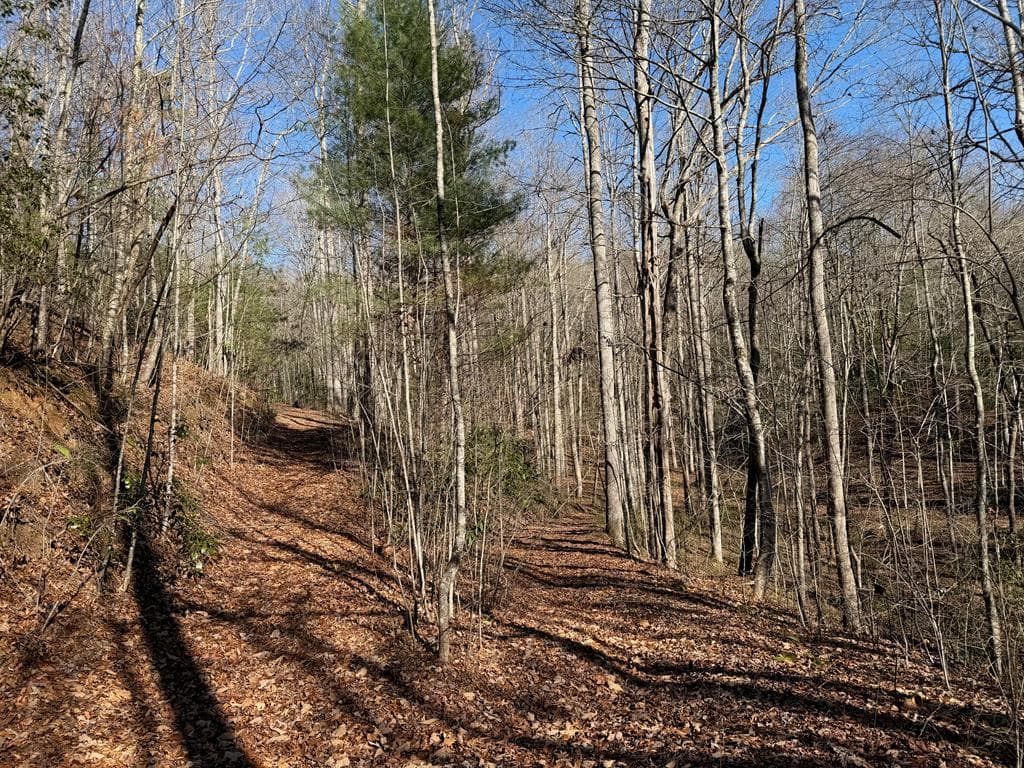 135.49ac Webb Creek Road, Andrews NC 28901 - Photo