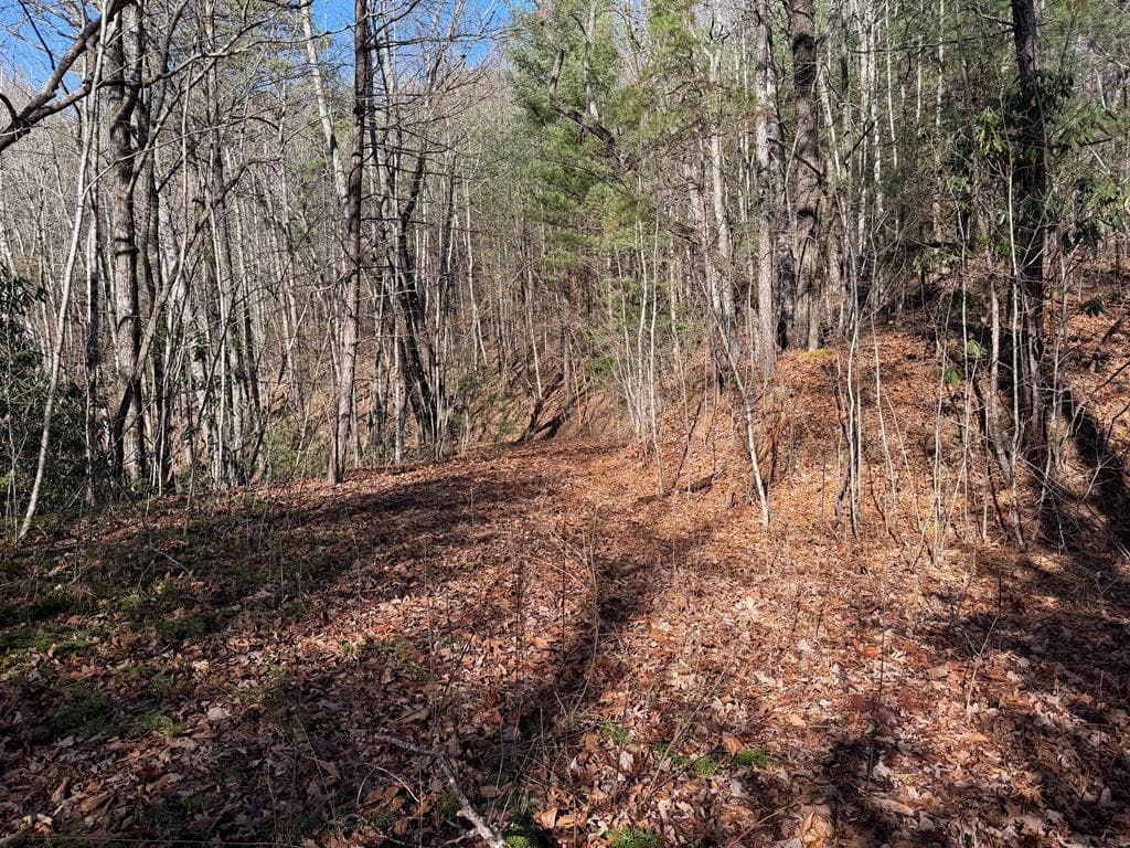 135.49ac Webb Creek Road, Andrews NC 28901 - Photo