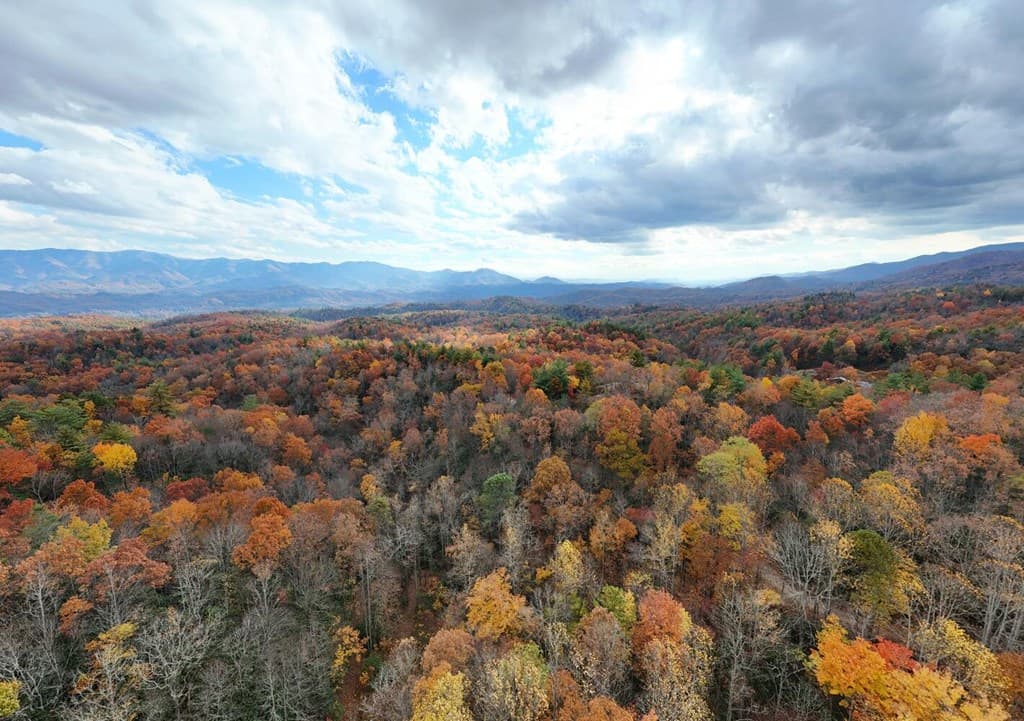 135.49ac Webb Creek Road, Andrews NC 28901 - Photo